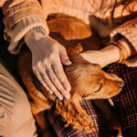 dame streichelt ihren hund