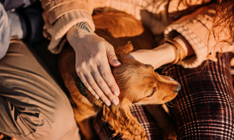 dame streichelt ihren hund