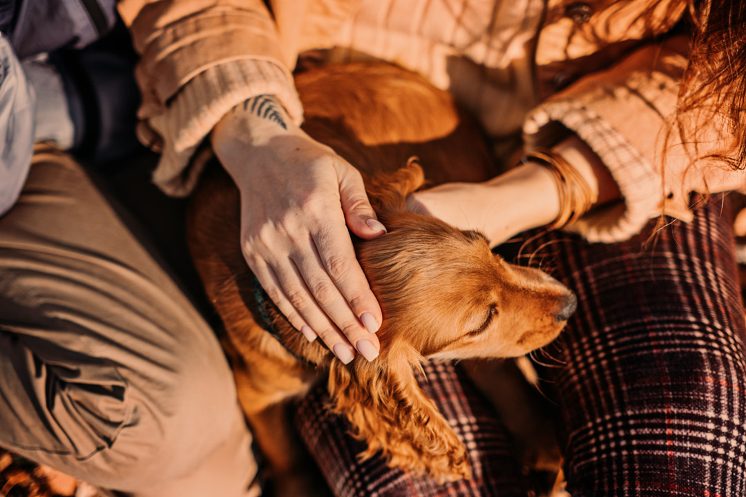 dame streichelt ihren hund